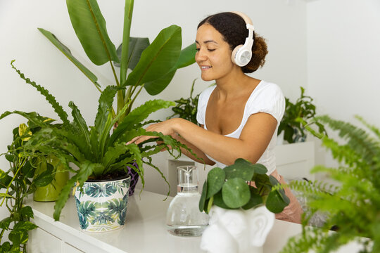 Ethnic woman in headset touching Asplenium leaves in house garden