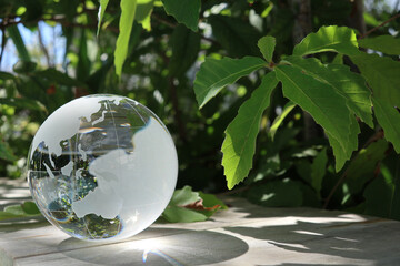 ガラスの地球儀（アジア周辺）と植物　SDGs
環境保護 イメージ　glass globe(Asia and Oceania) and the green leaves