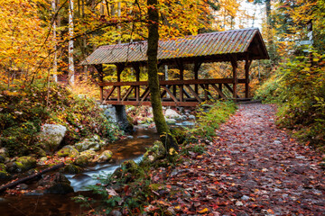 Brücke über einen Bach im bunten herbstlichen Wald