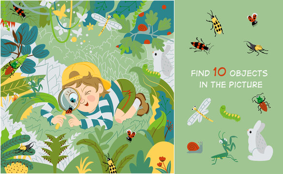An inquisitive child examines, studies insects in the meadow. Find 10 hidden objects in the picture. Hidden objects puzzle. Vector illustration.
