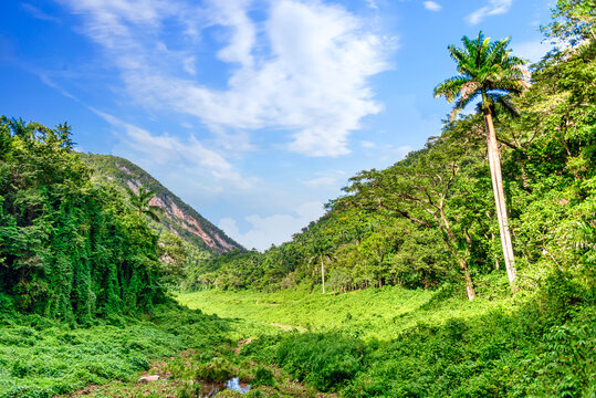 Eco Tourism Landscape in 'El Salto del Hanabanilla', Villa Clara, Cuba