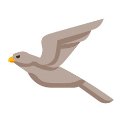 Illustration of stylized hawk. Image of wild bird in simple style.