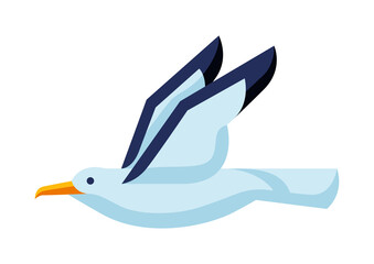 Illustration of stylized seagull. Image of wild bird in simple style.