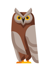 Illustration of stylized owl. Image of wild bird in simple style.