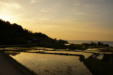 夕日の棚田
