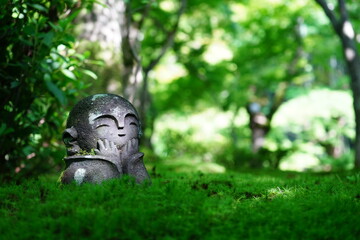 苔と地蔵
