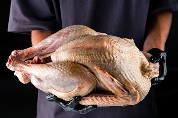 man's hands hold a large fresh turkey for a holiday dinner.