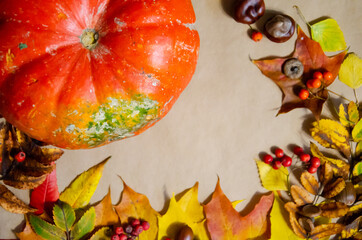 Selective focus Thanksgiving day decor with pumpkin, autumn leaves, rowan, acorns on beige paper background with copy space. Autumn season concept.