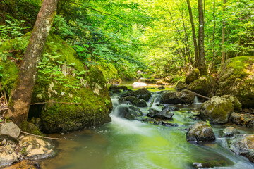 Fototapeta premium Suuctu Waterfall in Bursa District