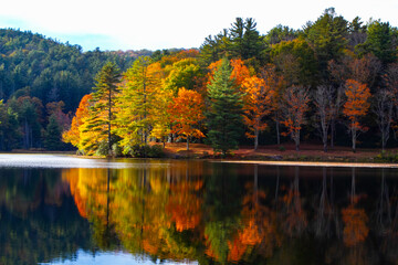 Colorful Fall Trees Reflecting On Bass Lake NC