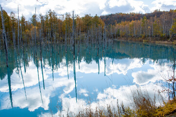青空を映す秋の青い池　美瑛町
