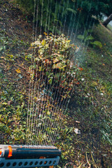 Lawn sprinkler spaying water over green grass at garden park. Irrigation system