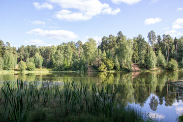 lake in the summer green forest, reflecting blue sky with clouds