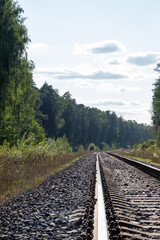 Fototapeta premium railway in the green forest in sunny summer day