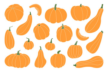 Pumpkin. Autumn vegetable. For fall decorative design, thanksgiving and halloween invitation, harvest flyer, textile. Vector flat cartoon illustration