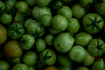 reen tomato (unripe) in wicker basket on wooden background. Unripe green tomato in bowl for fried dish or salted pickled vegetables. Raw green tomato on table for dinner