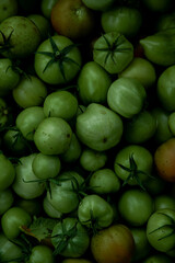 reen tomato (unripe) in wicker basket on wooden background. Unripe green tomato in bowl for fried dish or salted pickled vegetables. Raw green tomato on table for dinner