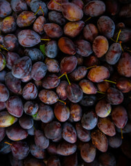 Ripe plums. Plums with a few leaves. Close up of fresh plums, top view. Macro photo food fruit plum. Texture background of fresh blue plums. Image fruit product. D'Agen French prune plum.