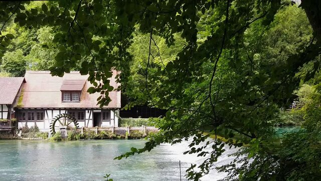 Forellen Hammerm&uuml;hle in Blaubeuren am Blautopf