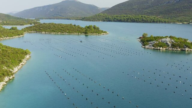 Aerial view of the mariculture in Mali Ston Bay in the Adriatic Sea near Peljesac, Croatia