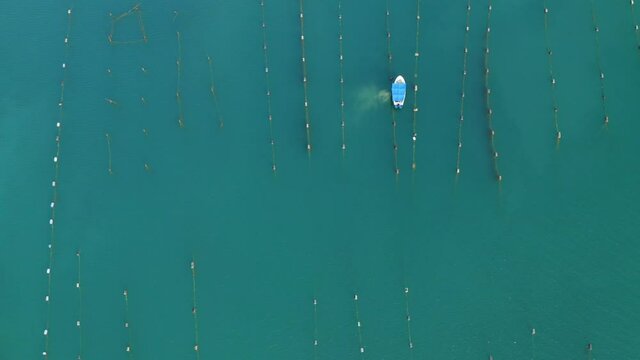 Aerial view of the mariculture in Mali Ston Bay in the Adriatic Sea near Peljesac, Croatia