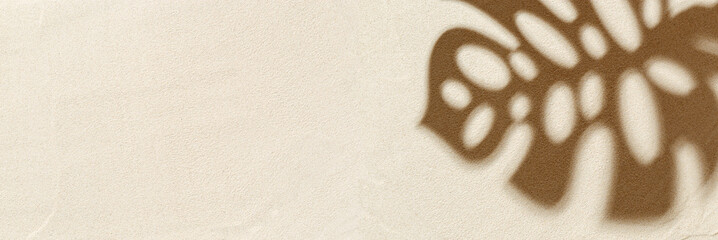 Summer minimal banner with shadow of monstera palm tree leaf on natural sand background