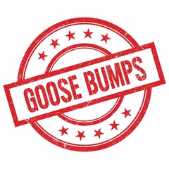 GOOSE BUMPS text written on red vintage round stamp.