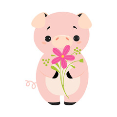 Fototapeta premium Cute Pink Pig Smelling Flower on Stalk Holding It with Paws Vector Illustration