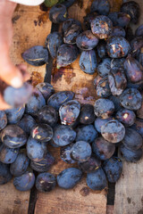 Moroccan man hand selling fresh figs, street food market. 