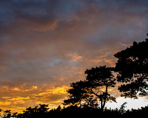 Fototapeta na wymiar Sunset Over the Forest