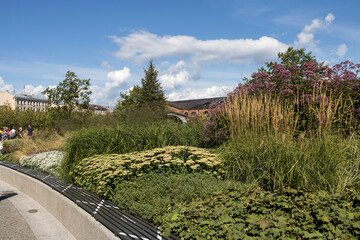 Herb garden at the New Holland Island