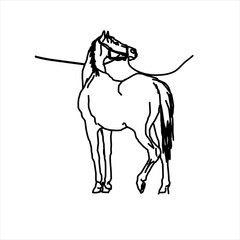 Horse sketch vector design seen from behind