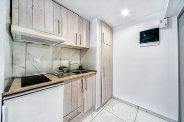Modern kitchenette in light colours in apartment or studio or hotel room, equipped with mini frigde, small ceramic cooker and hood, sink and many diffrenet lockers cabinets. 