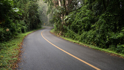 beautiful asphalt road In the lush tropical evergreen forest in Nan Province northern thailand