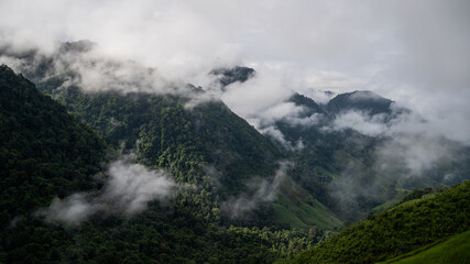 An aerial view of the forest amid the lush rain covering the tropical rainforest mountains during the rainy season in northern Thailand. The fertile forests of Thailand which is in the humid tropics