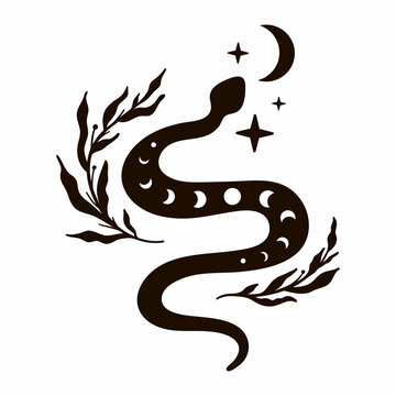 Celestial Snake Mystic Animal Moon Floral Serpent Mystical Moon Stars Black And White Illustration Stock イラスト Adobe Stock