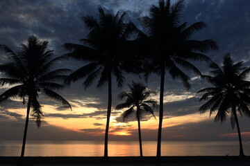 Fototapeta na wymiar set of pictures sunrise and coconut trees
