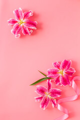 Top view of pink lilies flowers, floral pattern background