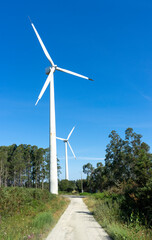 Wind and renewable energy masts with their large propellers and turbines in a rural area in the north of Spain. Alternative and renewable energy concept. . High quality photo