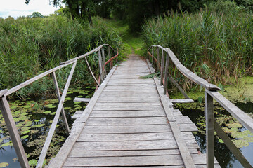 Fototapeta premium a wooden bridge that is located on the lake green water lilies and reeds grow around it
