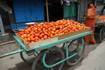 Close-up view of indian vegetable tomato being sold on push cart in outdoors. Vendor with the vegetable cart in the center of city. Colorful of fresh open air local market. - Mumbai India May 2021