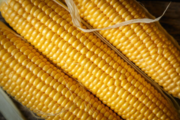 Fresh corn on the cob on a rustic wooden table, close up.