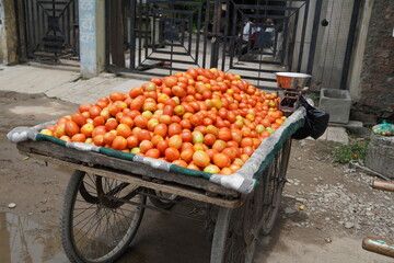 Close-up view of indian vegetable tomato being sold on push cart in outdoors. Vendor with the vegetable cart in the center of city. Colorful of fresh open air local market. © SN040288