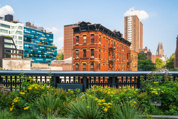 Scene from High Line Park in New York City Manhattan