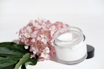 Fototapeta na wymiar white cosmetic cream and pink hydrangea flower on white background. beauty care and natural skin treatment.