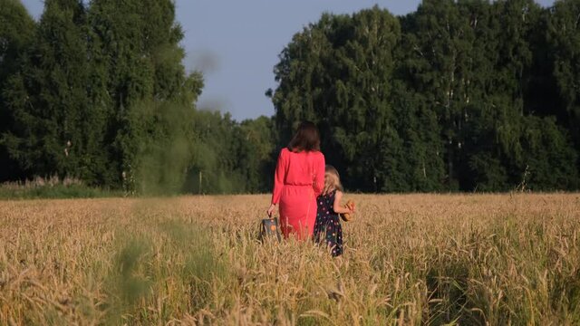 Back View of Little Girl and Mother with Suitcase Walking Through a Golden Wheat Field. Slow Motion. Happy Family Moments and Travel Concept