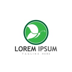 Beauty Butterfly icon design