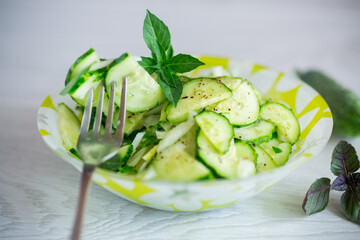 fresh organic cucumber salad with herbs and basil in a plate