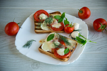 fried hot toast with mozzarella and tomatoes in a plate