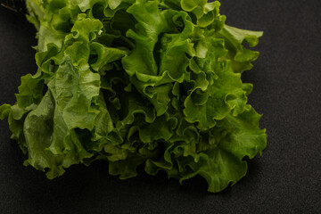 Green lettuce salad heap leaves